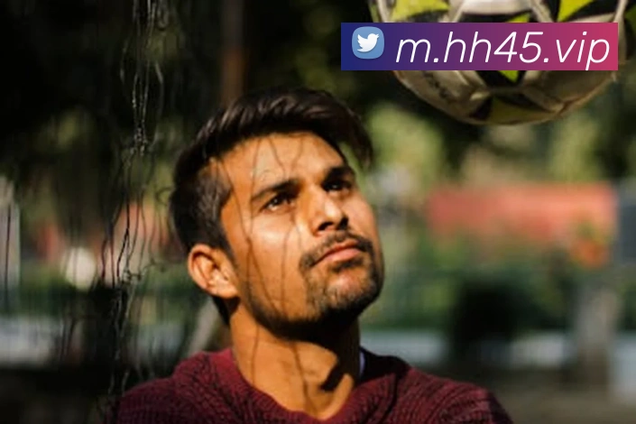 火狐体育官网首页平台生态图